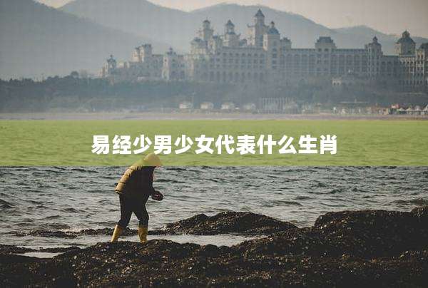 易经少男少女代表什么生肖