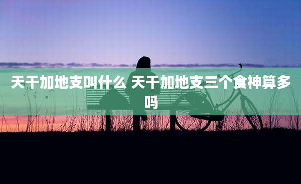 天干加地支叫什么 天干加地支三个食神算多吗