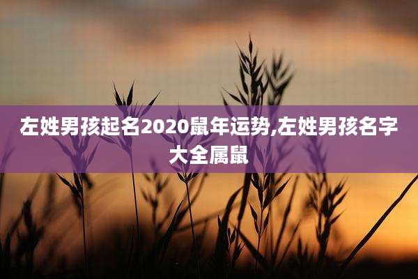 左姓男孩起名2020鼠年运势,左姓男孩名字大全属鼠