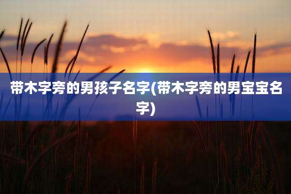带木字旁的男孩子名字(带木字旁的男宝宝名字)