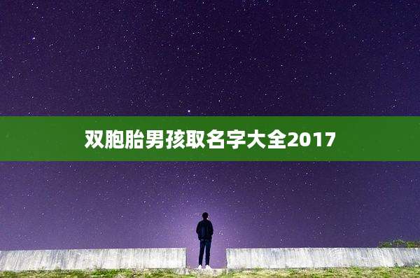 双胞胎男孩取名字大全2017
