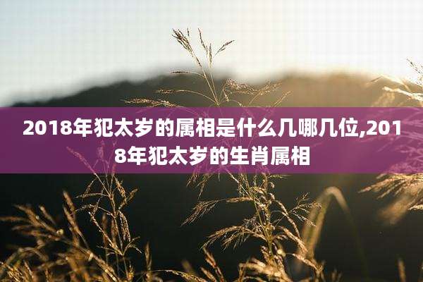 2018年犯太岁的属相是什么几哪几位,2018年犯太岁的生肖属相