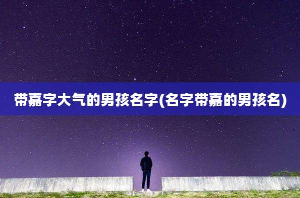 带嘉字大气的男孩名字(名字带嘉的男孩名)