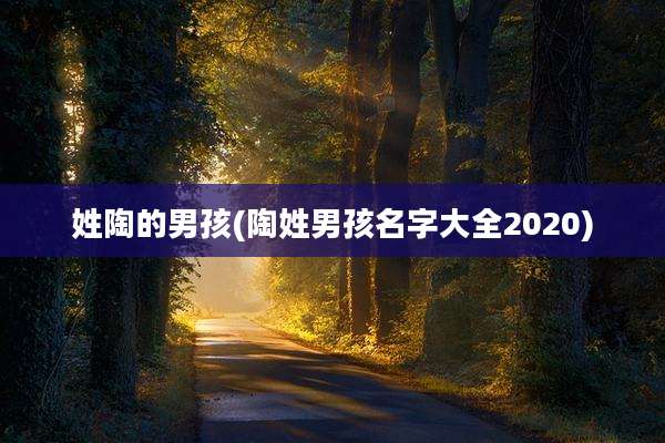 姓陶的男孩(陶姓男孩名字大全2020)