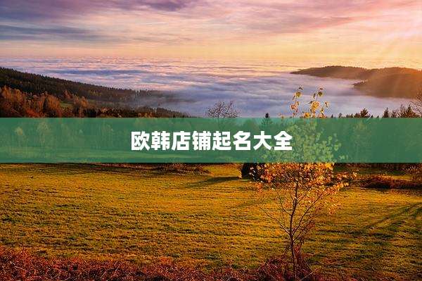 欧韩店铺起名大全