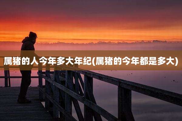 属猪的人今年多大年纪(属猪的今年都是多大)