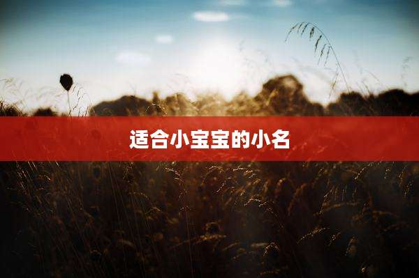 适合小宝宝的小名