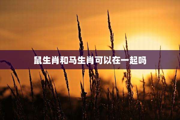 鼠生肖和马生肖可以在一起吗