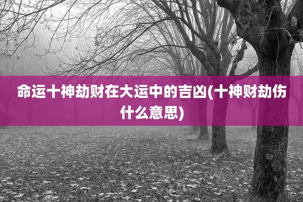 命运十神劫财在大运中的吉凶(十神财劫伤什么意思)