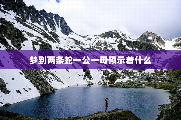 梦到两条蛇一公一母预示着什么