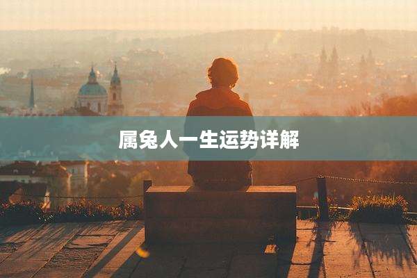 属兔人一生运势详解