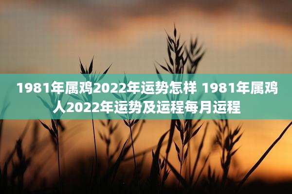 1981年属鸡2022年运势怎样 1981年属鸡人2022年运势及运程每月运程