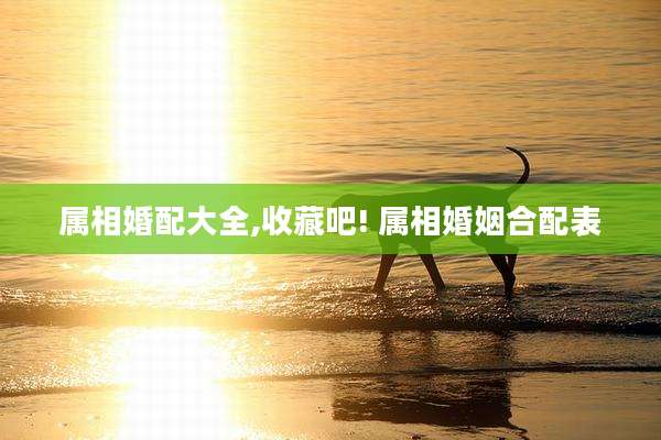属相婚配大全,收藏吧! 属相婚姻合配表