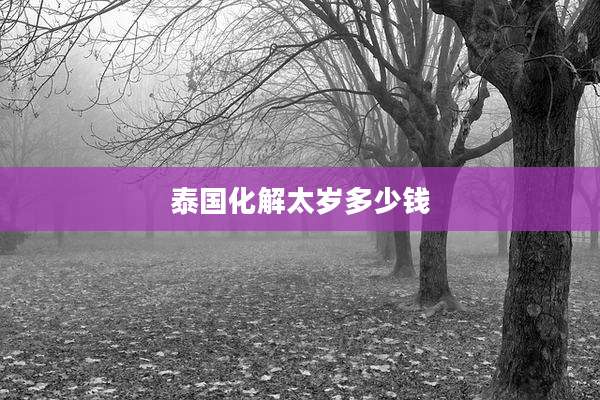 泰国化解太岁多少钱