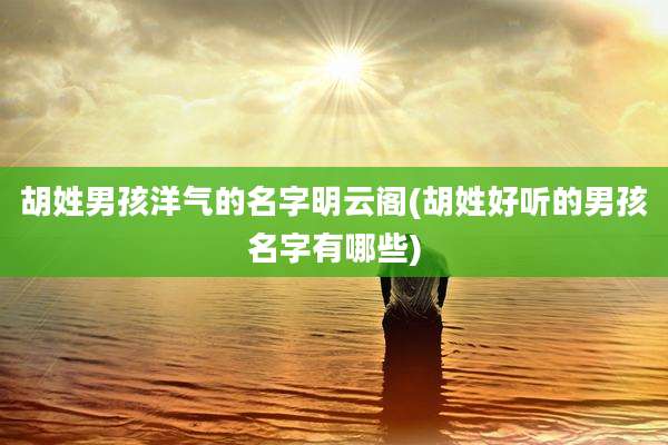 胡姓男孩洋气的名字明云阁(胡姓好听的男孩名字有哪些)