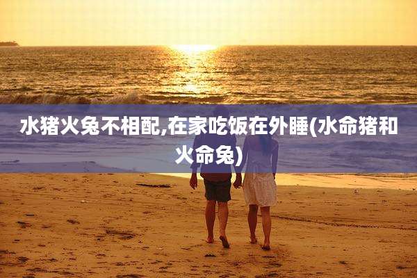 水猪火兔不相配,在家吃饭在外睡(水命猪和火命兔)