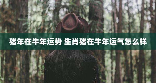 猪年在牛年运势 生肖猪在牛年运气怎么样