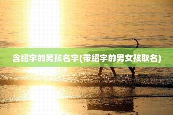 含绍字的男孩名字(带绍字的男女孩取名)