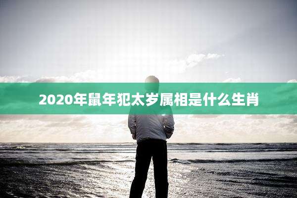 2020年鼠年犯太岁属相是什么生肖