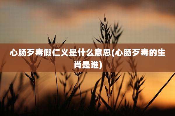 心肠歹毒假仁义是什么意思(心肠歹毒的生肖是谁)