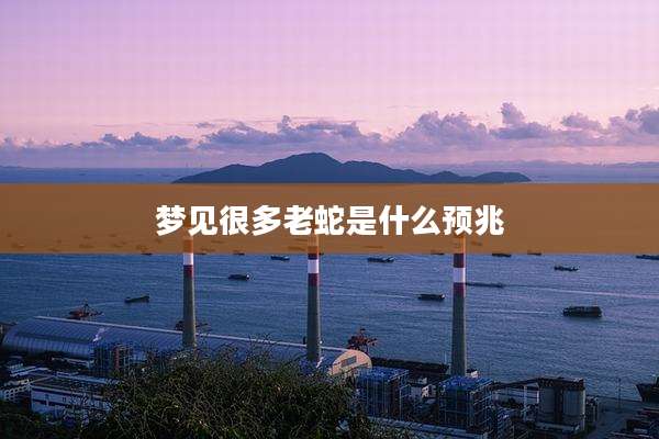 梦见很多老蛇是什么预兆