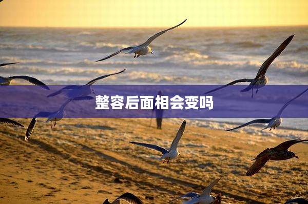 整容后面相会变吗