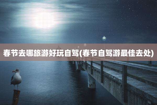 春节去哪旅游好玩自驾(春节自驾游最佳去处)