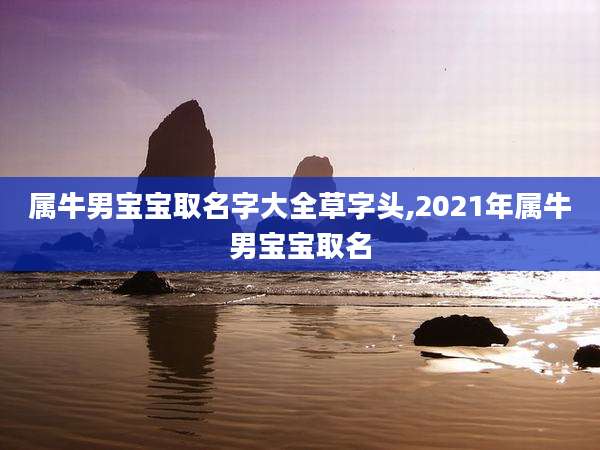 属牛男宝宝取名字大全草字头,2021年属牛男宝宝取名