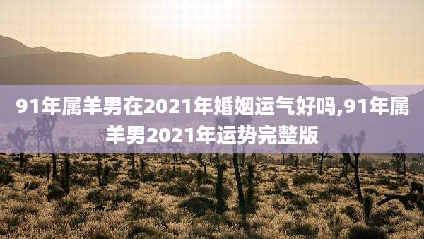 91年属羊男在2021年婚姻运气好吗,91年属羊男2021年运势完整版