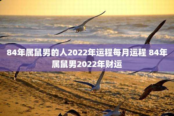 84年属鼠男的人2022年运程每月运程 84年属鼠男2022年财运
