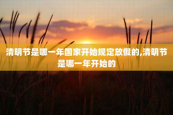 清明节是哪一年国家开始规定放假的,清明节是哪一年开始的