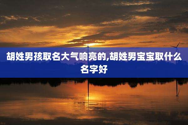 胡姓男孩取名大气响亮的,胡姓男宝宝取什么名字好