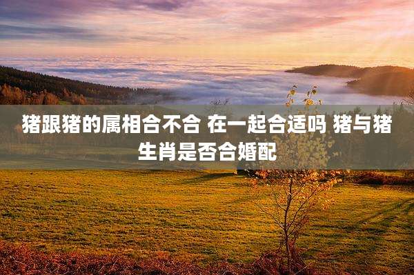 猪跟猪的属相合不合 在一起合适吗 猪与猪生肖是否合婚配