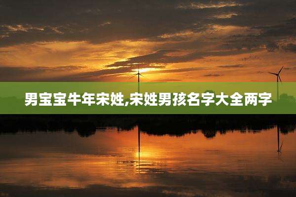 男宝宝牛年宋姓,宋姓男孩名字大全两字