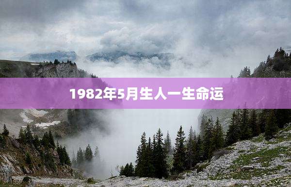 1982年5月生人一生命运