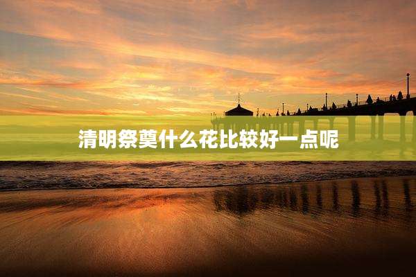 清明祭奠什么花比较好一点呢