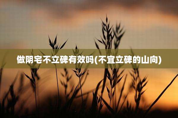 做阴宅不立碑有效吗(不宜立碑的山向)