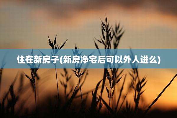 住在新房子(新房净宅后可以外人进么)