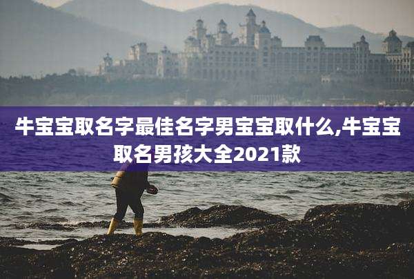 牛宝宝取名字最佳名字男宝宝取什么,牛宝宝取名男孩大全2021款