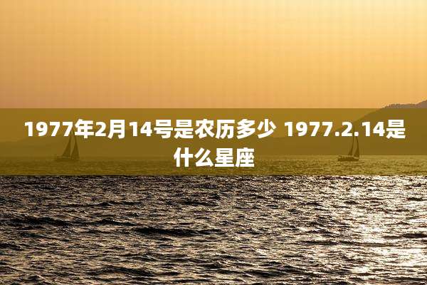 1977年2月14号是农历多少 1977.2.14是什么星座