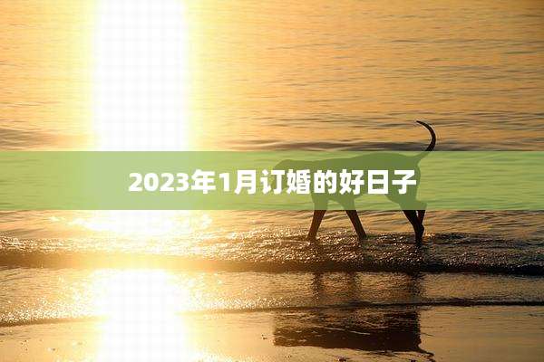 2023年1月订婚的好日子