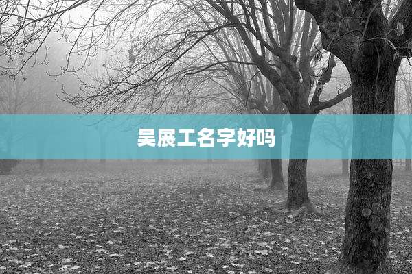 吴展工名字好吗