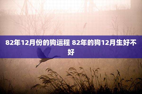 82年12月份的狗运程 82年的狗12月生好不好