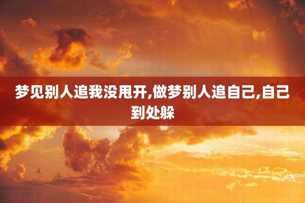 梦见别人追我没甩开,做梦别人追自己,自己到处躲