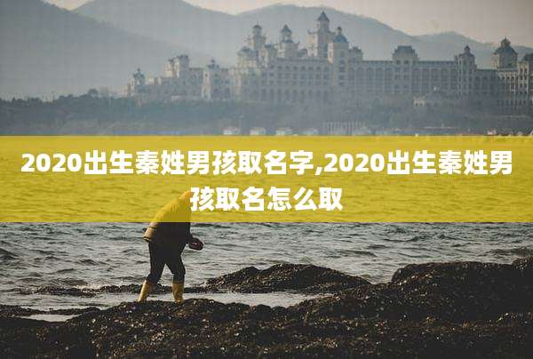 2020出生秦姓男孩取名字,2020出生秦姓男孩取名怎么取