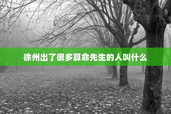 徐州出了很多算命先生的人叫什么