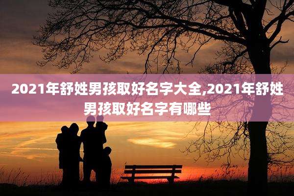 2021年舒姓男孩取好名字大全,2021年舒姓男孩取好名字有哪些