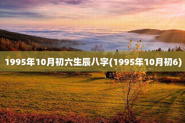 1995年10月初六生辰八字(1995年10月初6)