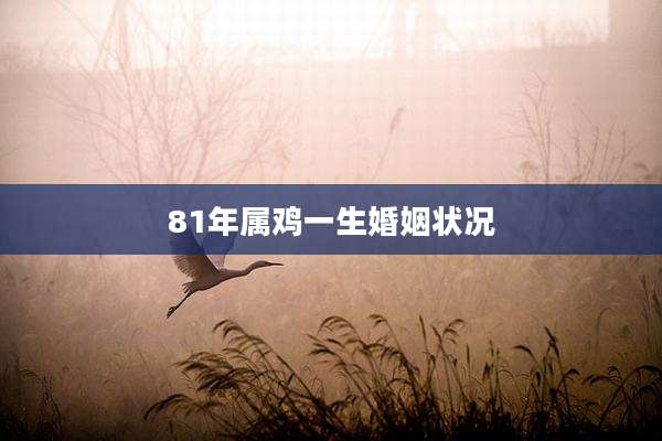 81年属鸡一生婚姻状况