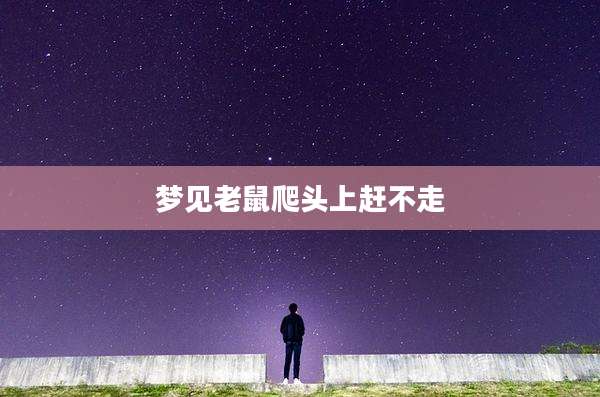梦见老鼠爬头上赶不走